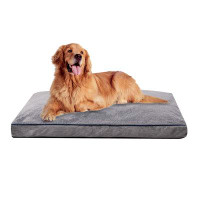 Archie & Oscar™ Bohrer Shredded Memory Foam Dog Bed Pillow