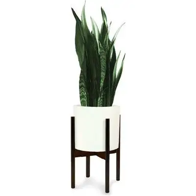 Arlmont & Co. Adjustable Plant Stand Modern Elevated Single Indoor Planter Stand with Adjustable Width
