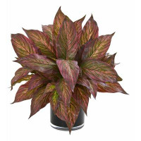 Charlton Home Artificial Musa Leaf Foliage Plant in Decorative Vase