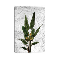 East Urban Home Bird Of Paradise Plant On White Marble