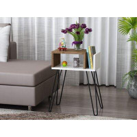 East Urban Home Agathla Side Table with Storage