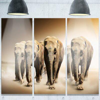 Made in Canada - Design Art 'Walking Herd of Elephants' 3 Piece Photographic Print on Metal Set