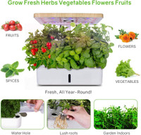 Special PROMO* Moistenland Hydroponics Growing System,Indoor Garden,Herb Garden Indoor | FAST, FREE Delivery