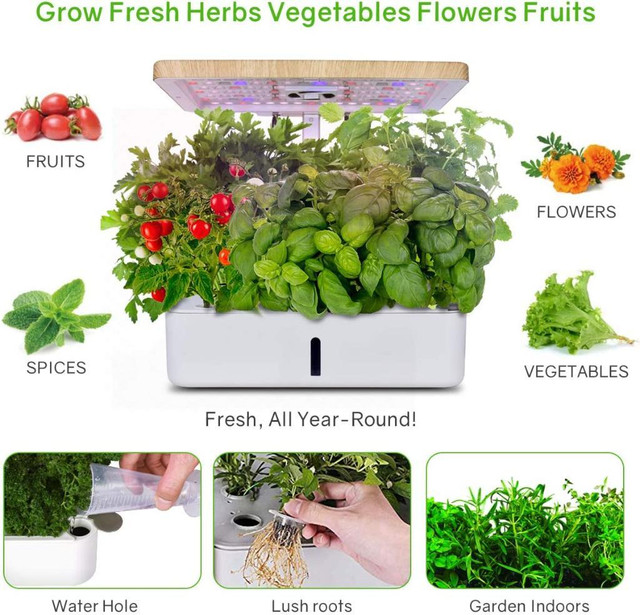 Special PROMO* Moistenland Hydroponics Growing System,Indoor Garden,Herb Garden Indoor | FAST, FREE Delivery in Other