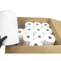 CASE OF 12 GIANT ROLLS PAPER TOWELS PT-12-176-SHEET-RP 541382765 176-SHEETS PER ROLL, 2-PLY