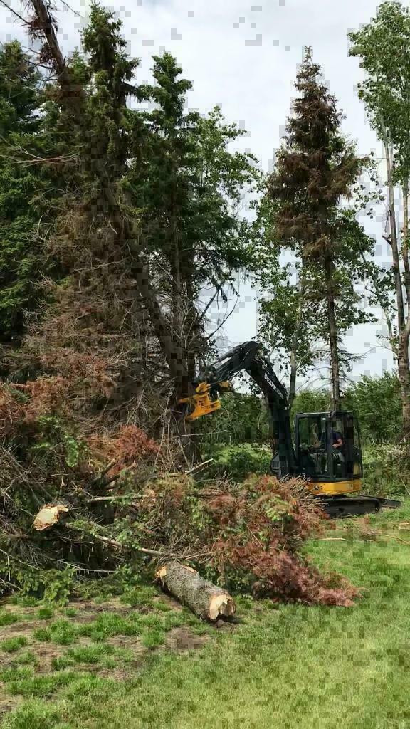 Tree Shear for Thinning and Firesmart Operations.  In stock. in Heavy Equipment Parts & Accessories in British Columbia - Image 2