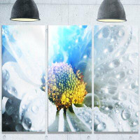 Made in Canada - Design Art 'Large White Flower with Raindrops' 3 Piece Photographic Print on Metal Set