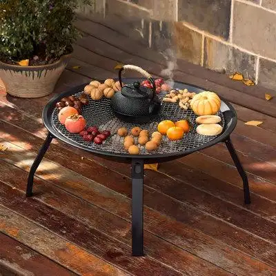 Red Barrel Studio 21.65"W Round Cast Iron Charcoal Wood Burning Outdoor Fire Pit With Lid