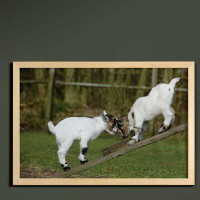 East Urban Home Ambesonne Animal Wall Art With Frame, Little Goats On A Bench Their Horns Picture Image Design, Printed