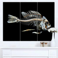 Design Art 'Fish Skeleton Bone on Black' 3 Piece Photographic Print on Wrapped Canvas Set