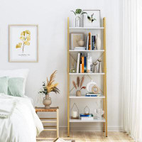 17 Stories Cananga Ladder Bookcase
