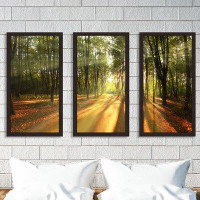 Made in Canada - Picture Perfect International Fall Landscape Trees - 3 Piece Picture Frame Photograph Print Set on Acry