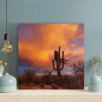 Foundry Select Cactus Plant On Field During Golden Hour - 1 Piece Square Graphic Art Print On Wrapped Canvas