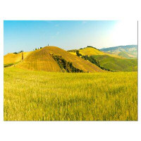 Made in Canada - Design Art Tuscany Wheat Field on Sunny Day - Wrapped Canvas Photograph Print