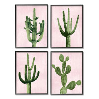 Stupell Industries Pink Desert Cactus Plants Arid