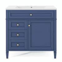 Winston Porter 36'' Bathroom Vanity with Top Sink with 2 Drawers and a Tip-out Drawer