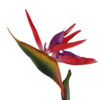 Wrought Studio Artificial Flower Bird Of Paradise Fake Plant Silk Strelitzia Reginae Home Decor