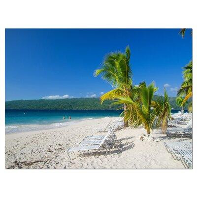 Made in Canada - Design Art Beach Coconut Palms in Wind - Wrapped Canvas Photograph Print in Home Décor & Accents