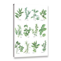 Gracie Oaks Herb Chart by Chris Paschke Graphic Art on Canvas