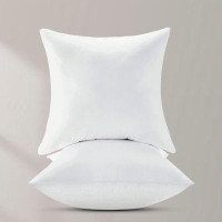 Arsuite Chavis Indoor/Outdoor Pillow Insert