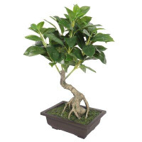 Primrue 18" Artificial Bonsai Tree in Planter