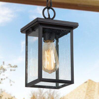Williston Forge Selah Black 1 -Bulb 11'' H Outdoor Hanging Lantern