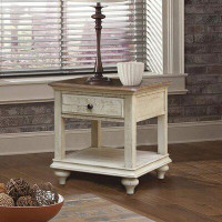 Laurel Foundry Modern Farmhouse Dash Solid Wood End Table with Storage
