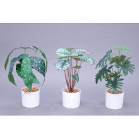 Primrue 3 Pack Small Fake Plants In Pots, Artificial Plastic Plants For Room Home Office Desk Farmhouse Wall Table Decor