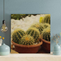 Foundry Select Green Cactus Plants 30 - 1 Piece Square Graphic Art Print On Wrapped Canvas