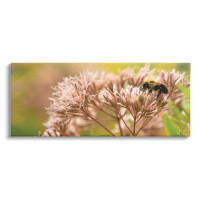 Ebern Designs Honey Bee Photography - Wrapped Canvas Print