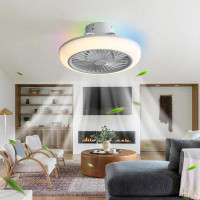 Wrought Studio Dyian 18" Ceiling Fans with Lights, Smart RGB Low Profile Ceiling Fan with Alexa/Google/APP Control