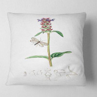 East Urban Home Vintage Insects And Plants II Floral Pillow