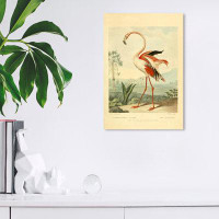 Bay Isle Home™ Animals Flamingo Vintage Traditional White Canvas Wall Art Print