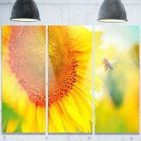 Made in Canada - Design Art 'Beautiful Sunflowers Blooming' 3 Piece Photographic Print on Metal Set