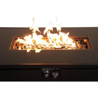 Latitude Run® Cassy 25.08" H x 22.08" W Stainless Steel Propane/Natural Gas Outdoor Fire Pit