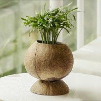Rainforest Bowls Pedestal Coconut Planter 2-Pack