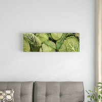 East Urban Home Close-Up of Savoy Cabbages Growing on Plant by Panoramic Images - Gallery-Wrapped Canvas Giclee Print