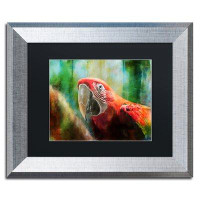 Trademark Fine Art 'Green Winged Macaw' Framed Painting Print on Canvas