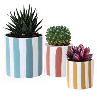 Ebern Designs Kennen 3-Piece Pot Planter