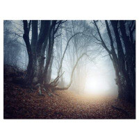 Made in Canada - Design Art Magical Trees in Mysterious Photographic Print on Wrapped Canvas
