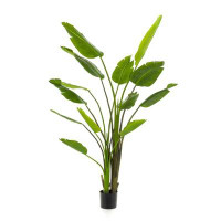 Emerald Eternal Green Strelitzia Faux Plant Set (2) 180Cm