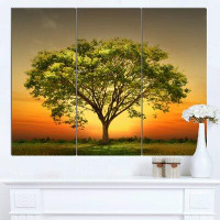 Made in Canada - Design Art 'Green Tree against Setting Sun' 3 Piece Wall Art on Wrapped Canvas Set
