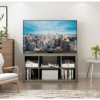 Ivy Bronx Lafferty TV Stand for TVs up to 50"