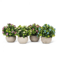 Primrue Set Of 4 Assorted Colors Flowering Plants In Pots Artificial Flower