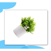 Primrue Potted Artificial Plant,Mini Artifical Flower With Plastic White Cylindrical Pots Desk Plant Topiary Shrubs Fake