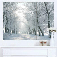 Design Art 'Winter Road Backlit my Morning Sun' 3 Piece Photographic Print on Wrapped Canvas Set