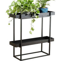 17 Stories 2 Tier Plant Stand Indoor Outdoor - 29 x 9 x 28 Inches Plant Shelf - Narrow Plant Stand
