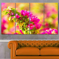 Made in Canada - Design Art 'Beautiful Pink Bougainvillea Flowers' 4 Piece Photographic Print on Wrapped Canvas Set