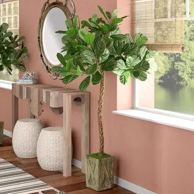 Bay Isle Home™ Fiddle Leaf Fig Tree in Planter