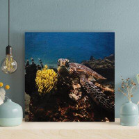 Bayou Breeze A Turtle By A Yellow Sea Plant Under The Sea - 1 Piece Square Graphic Art Print On Wrapped Canvas - Wrapped
